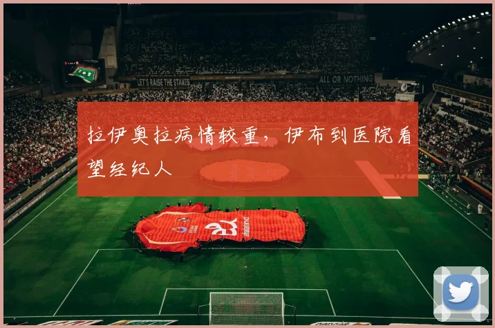 拉伊奥拉病情较重，伊布到医院看望经纪人