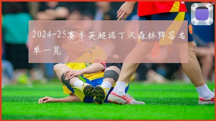 2024-25赛季英超诺丁汉森林阵容名单一览