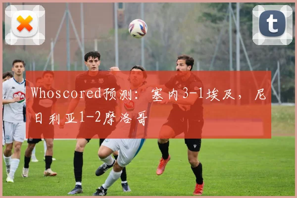 Whoscored预测：塞内3-1埃及，尼日利亚1-2摩洛哥
