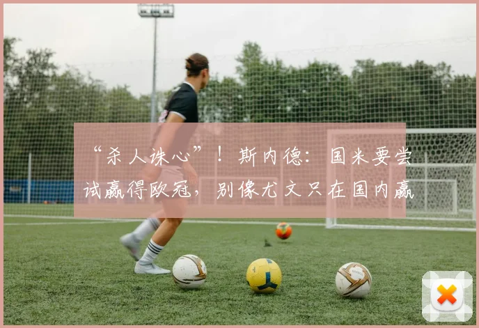 “杀人诛心”！斯内德：国米要尝试赢得欧冠，别像尤文只在国内赢